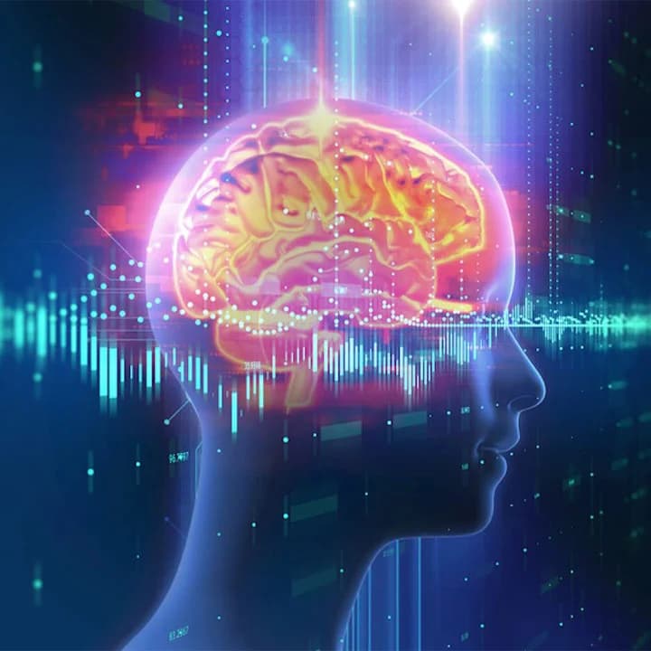 این هوش مصنوعی میتواند آثار سونامی را پیشبینی کند